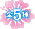5種類